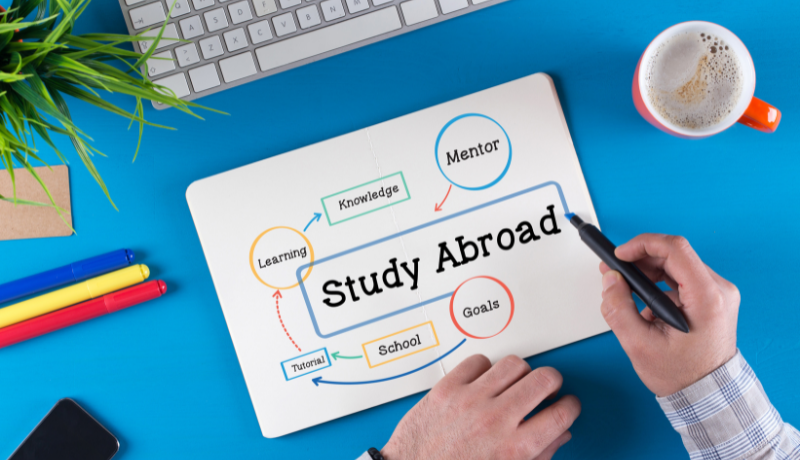 Study Abroad Education Consultant