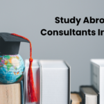 Overseas Education Consultant