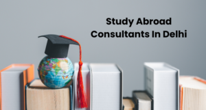 Overseas Education Consultant